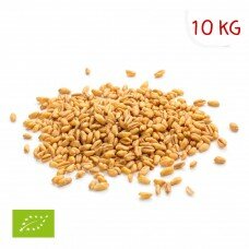 Blé poules Bio 10 KG