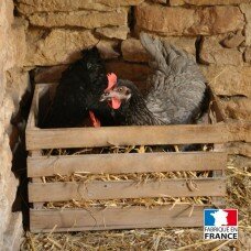 Cagette en bois poules